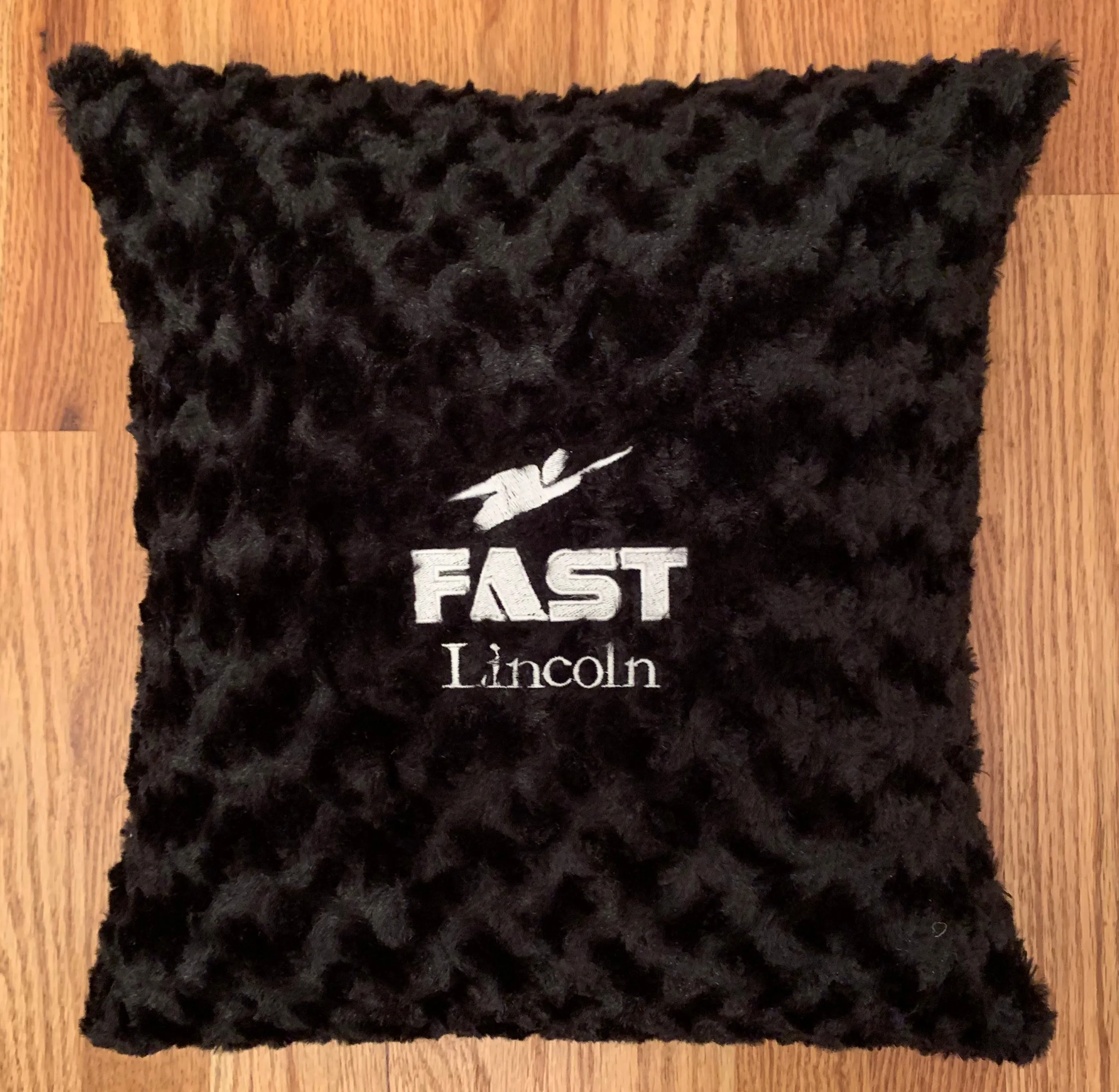 FAST Team Pillow